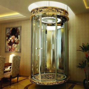 Automātiska Maza vārpstas pacelšana Luksusa Villa Personal Lift